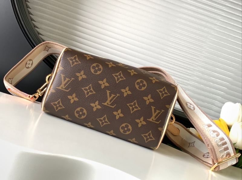 LV Speedy Bags